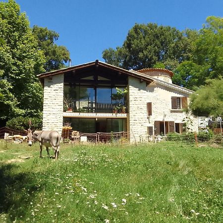 Les Favouilles - Gite & Chambres D Hotes Dauphin Dış mekan fotoğraf